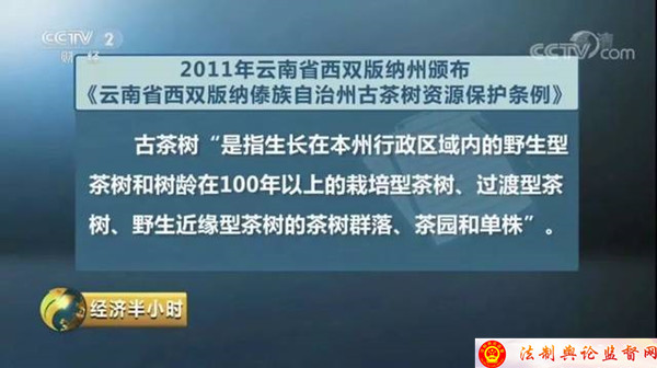 保护条例施行！ 树龄百年以上野生和栽培型茶树纳入保护