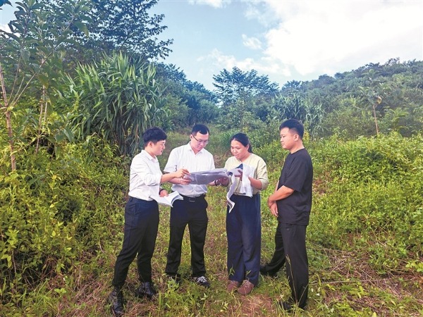 正风反腐在身边·记者百县行丨雨林长“金叶”