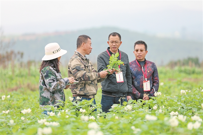 深度关注丨盘活资源促振兴