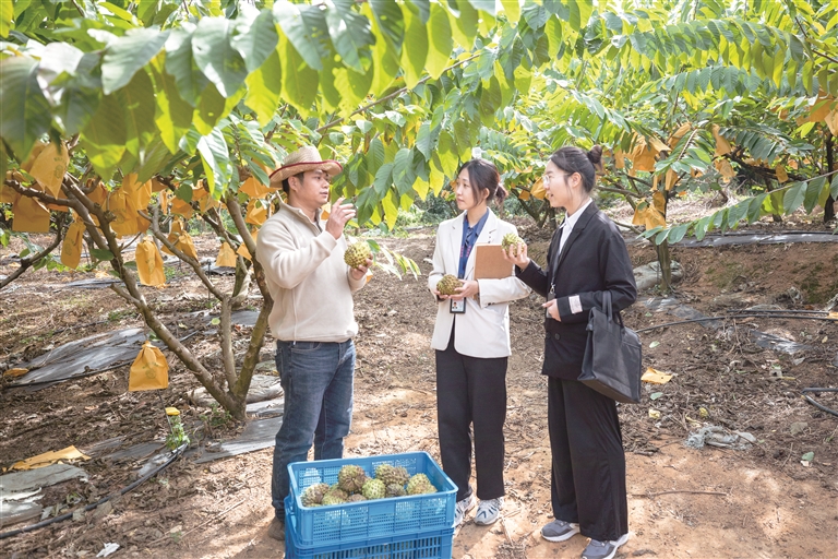 回眸2025 | 绘就城乡区域协调发展新画卷