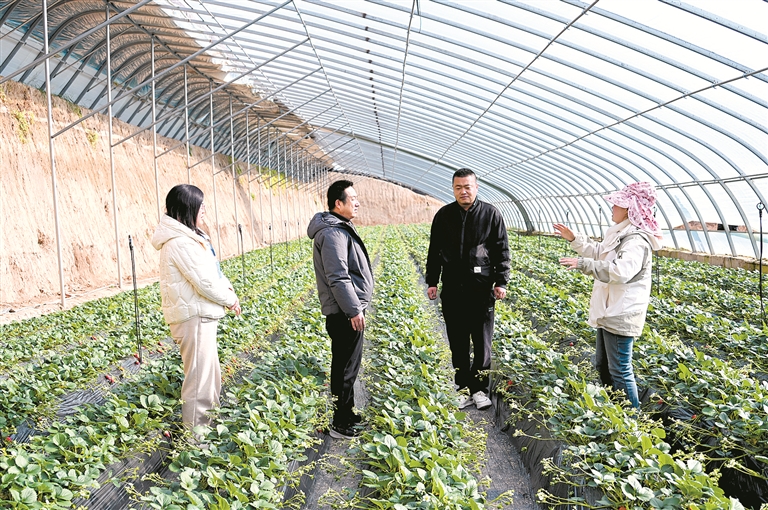 回眸2025 | “查改治”贯通守护民生温度