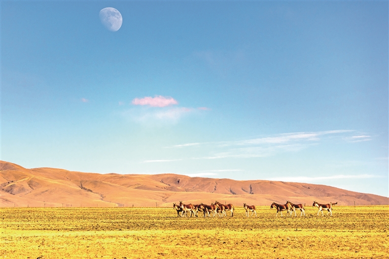 时代专论丨把学习贯彻习近平生态文明思想不断引向深入  学习《习近平生态文明文选》第一卷
