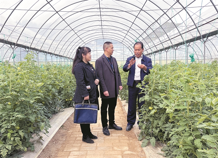 回眸2025丨扎牢乡村振兴资金监管“笼子”