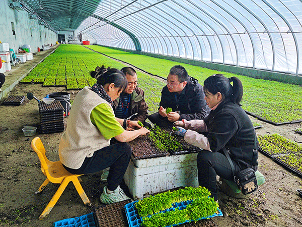 书记谈丨以更高标准更实举措推进全面从严治党