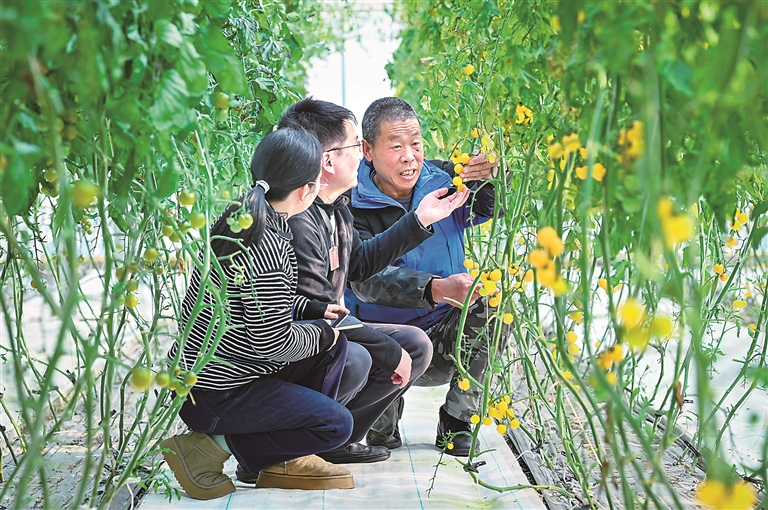 时代专论丨坚定走好中国特色反腐败之路