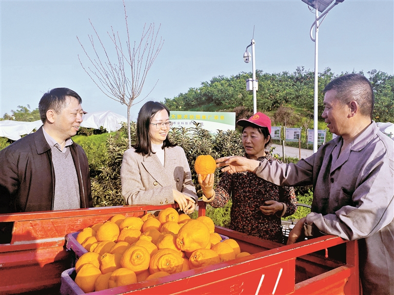 深度关注丨助力绘就大美中国画卷