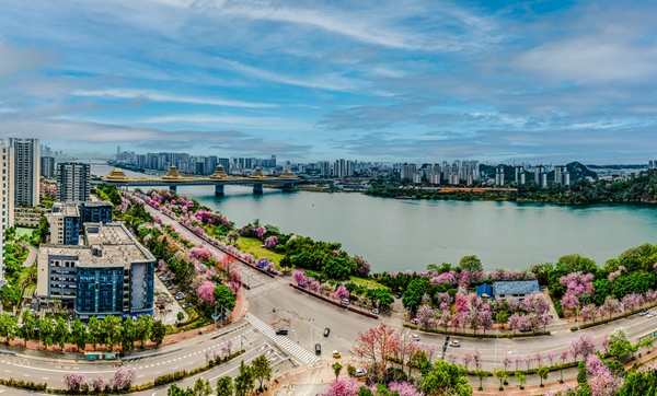 镜头丨大美四月